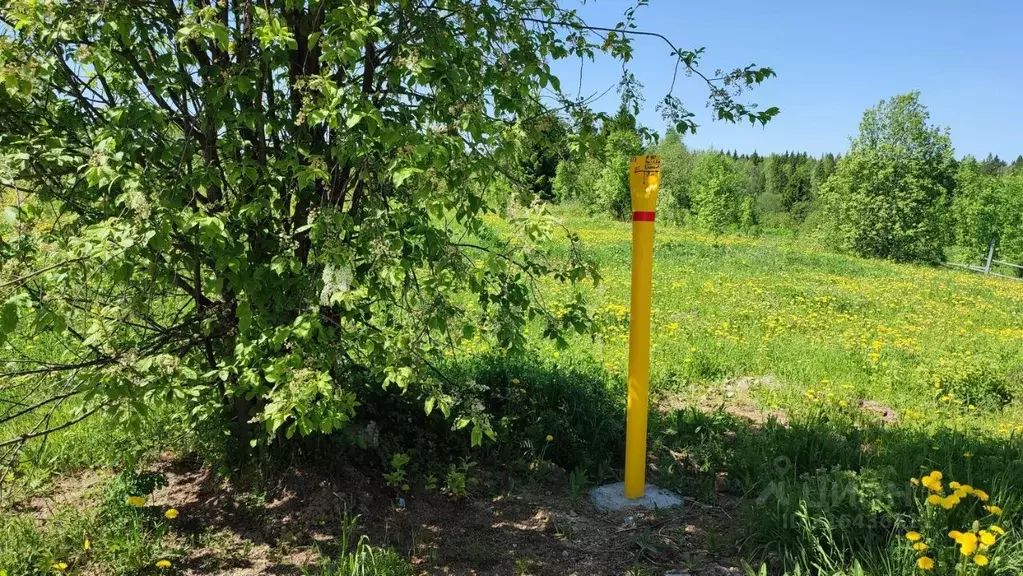 Участок в Пермский край, Краснокамский муниципальный округ, д. ... - Фото 2