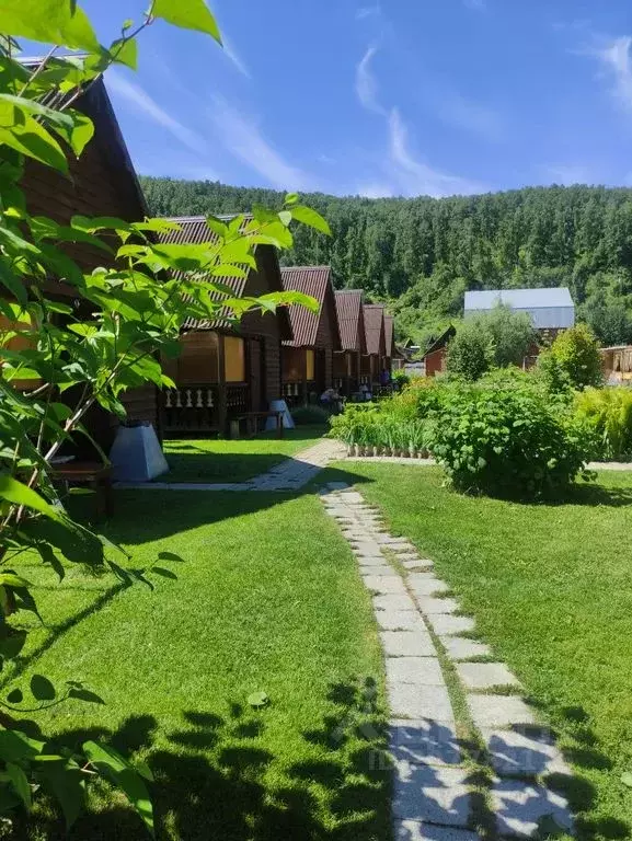 Дом в Алтайский край, Алтайский район, с. Ая Катунская ул., 59 (18 м) - Фото 0