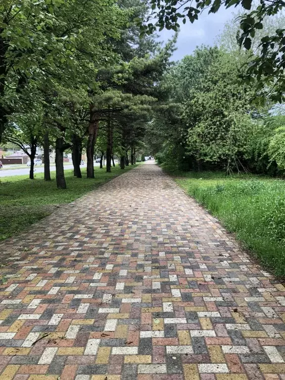 Комната Ставропольский край, Ставрополь ул. Балахонова, 13 (15.0 м) - Фото 0