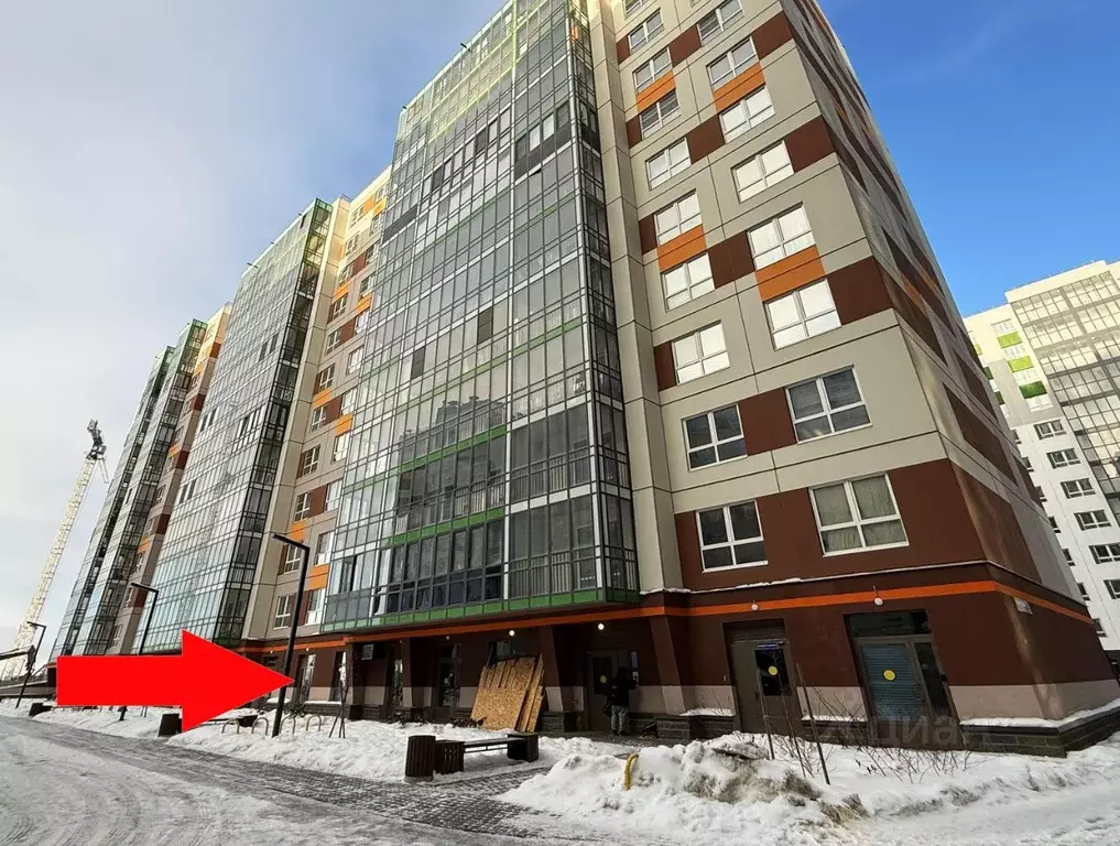 Помещение свободного назначения в Санкт-Петербург пос. Шушары, просп. ... - Фото 1