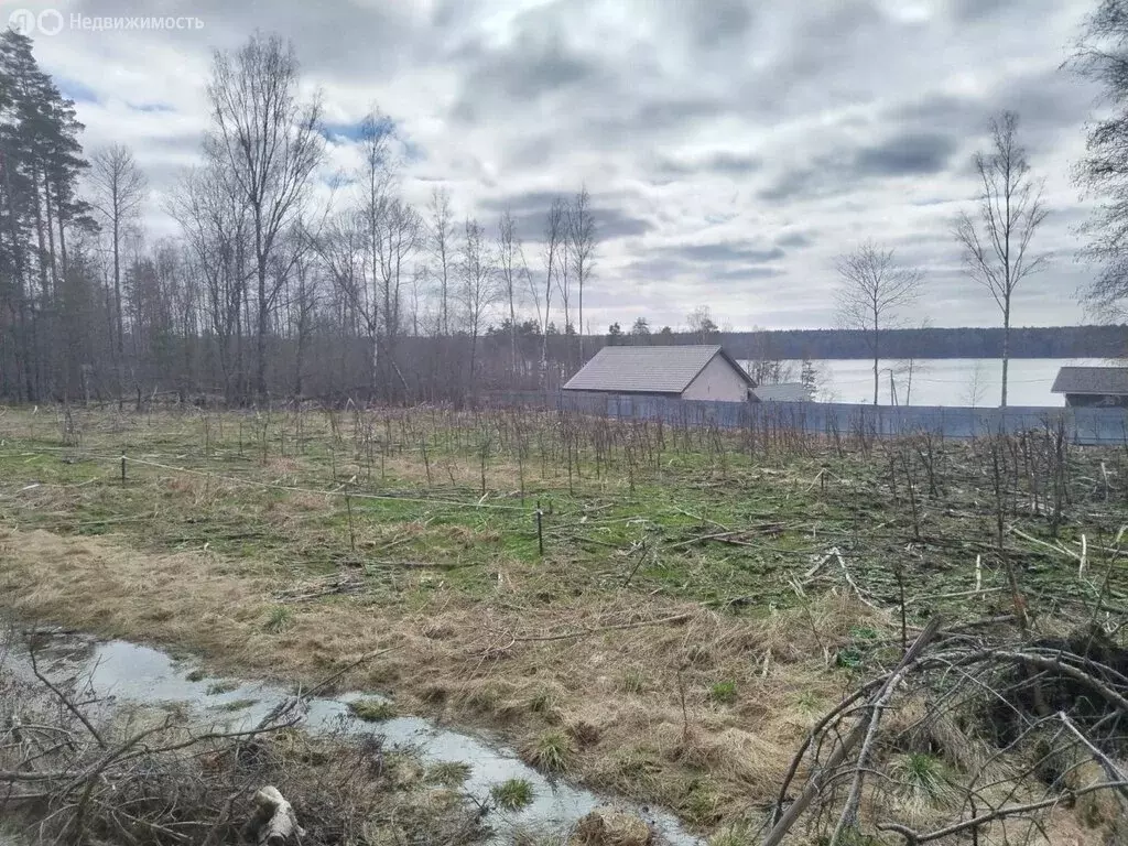 Участок в Выборгский район, Приморское городское поселение, посёлок ... - Фото 0