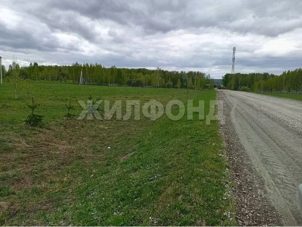 Участок в Новосибирская область, Новосибирский район, Станционный ... - Фото 1