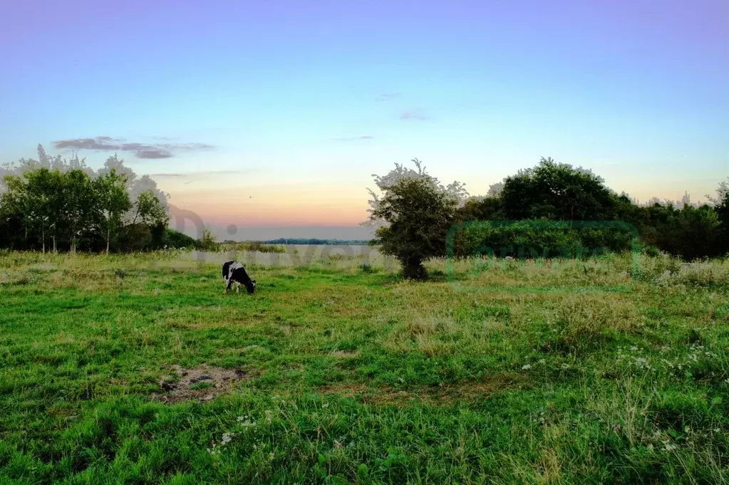 Участок в Калининградская область, Багратионовский муниципальный ... - Фото 1