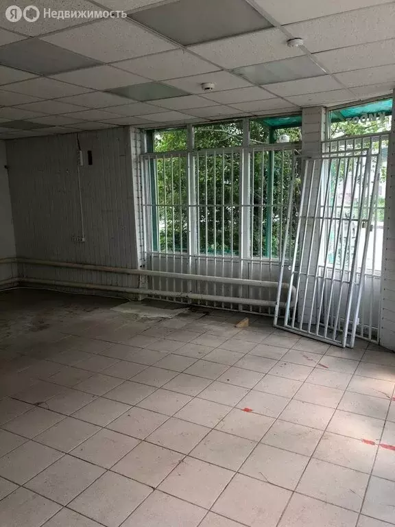 Офис (55.5 м) - Фото 0