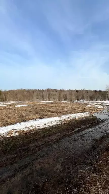 Участок в Вологодская область, д. Мальгино (Подлесный сельсовет)  ... - Фото 2
