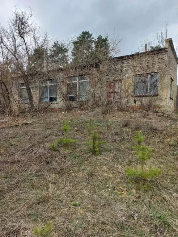 Помещение свободного назначения в Пензенская область, Городищенский ... - Фото 1