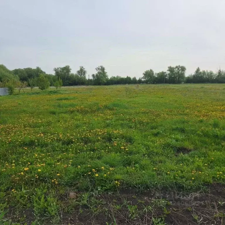 Участок в Тульская область, Веневский муниципальный округ, д. ... - Фото 1