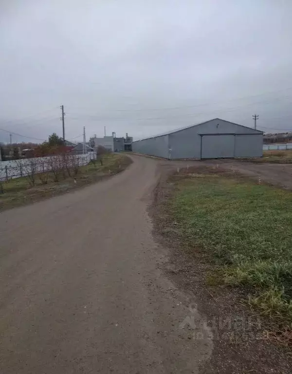 Производственное помещение в Воронежская область, Богучар 5 (45000 м) - Фото 1