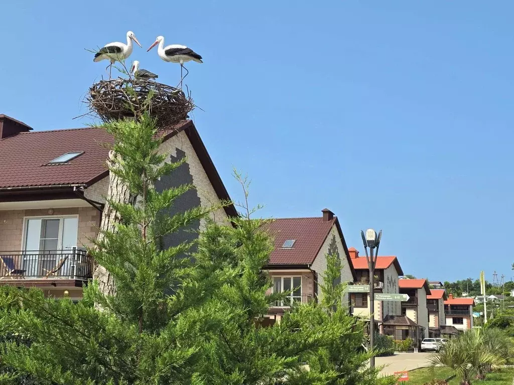 Таунхаус в Краснодарский край, Сочи ул. Романтиков (88 м) - Фото 1