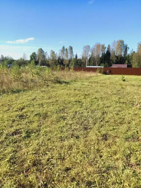 Участок в Московская область, Можайский муниципальный округ, Лесная ... - Фото 1