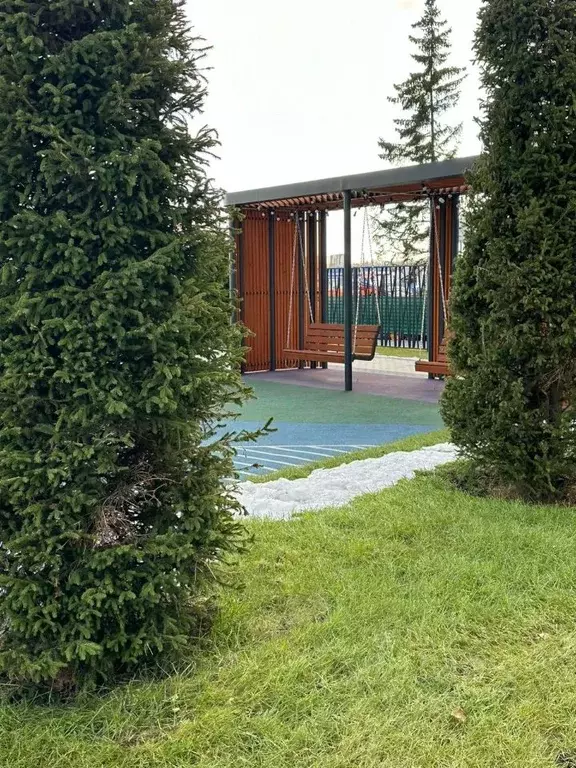 Студия Новосибирская область, Новосибирский район, Мочищенский ... - Фото 2