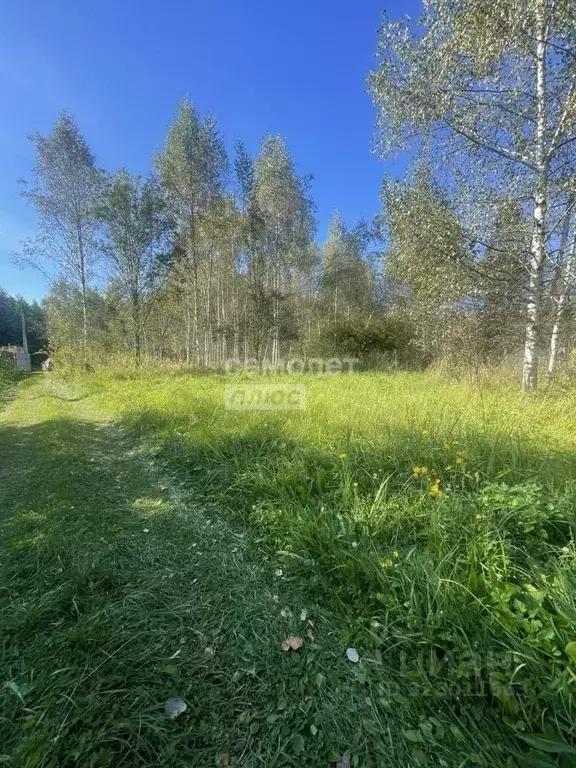 Участок в Московская область, Шатура муниципальный округ, Черусти пгт ... - Фото 1