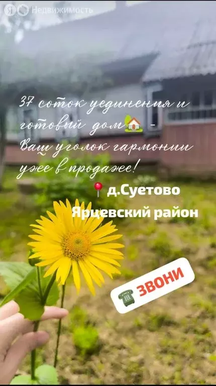 Дом в деревня Суетово, Восточная улица, 8 (43.9 м) - Фото 0