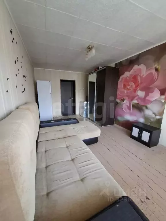 Комната Свердловская область, Екатеринбург ул. Блюхера, 13 (16.9 м) - Фото 1