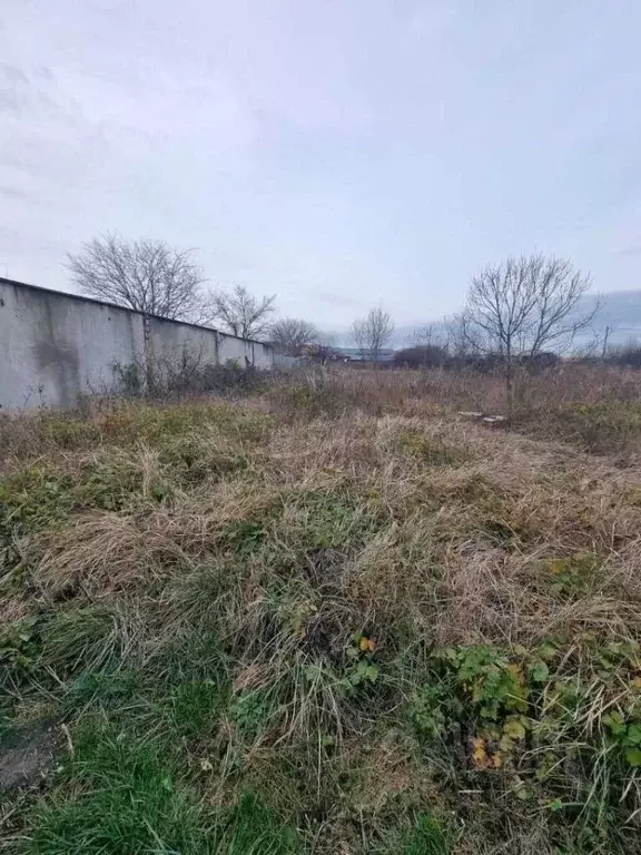 Участок в Краснодарский край, Новороссийск городской округ, Раевская ... - Фото 0