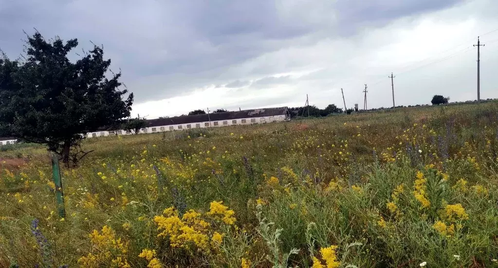 Участок в Ставропольский край, Ставрополь Крокус садовое товарищество, ... - Фото 0