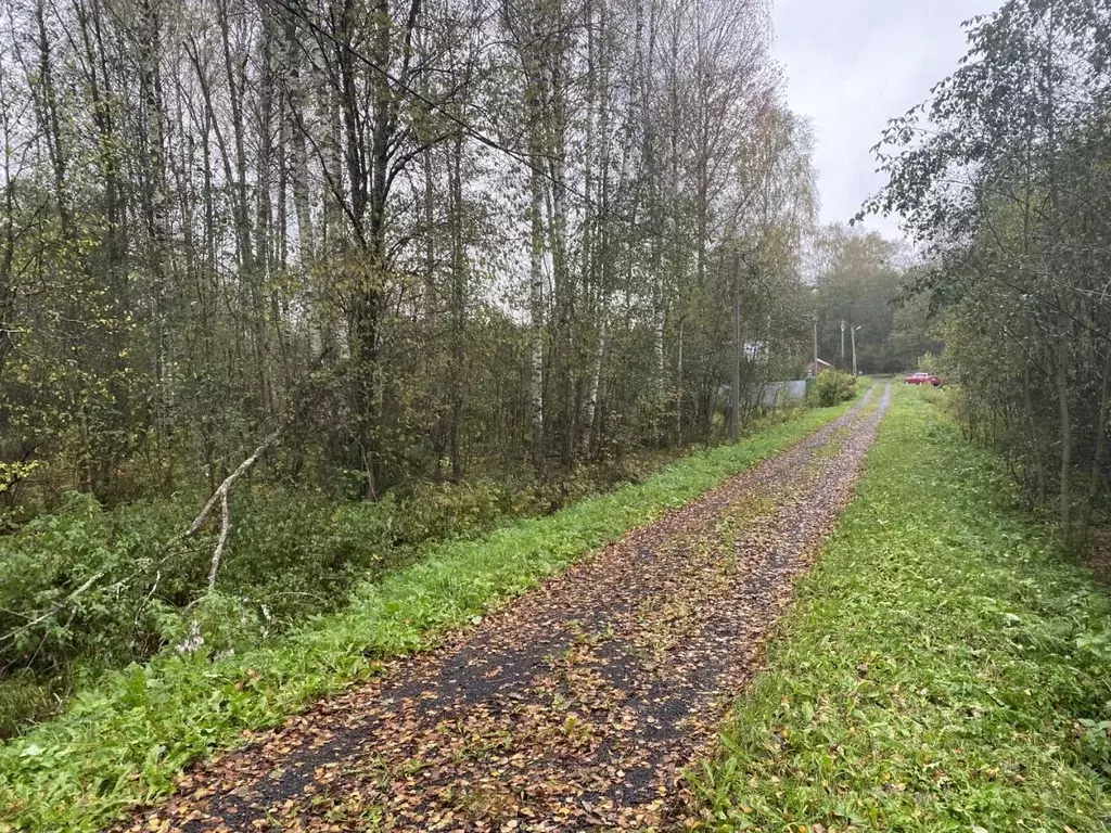 Участок в Московская область, Клин городской округ, Милухино СНТ 321 ... - Фото 1