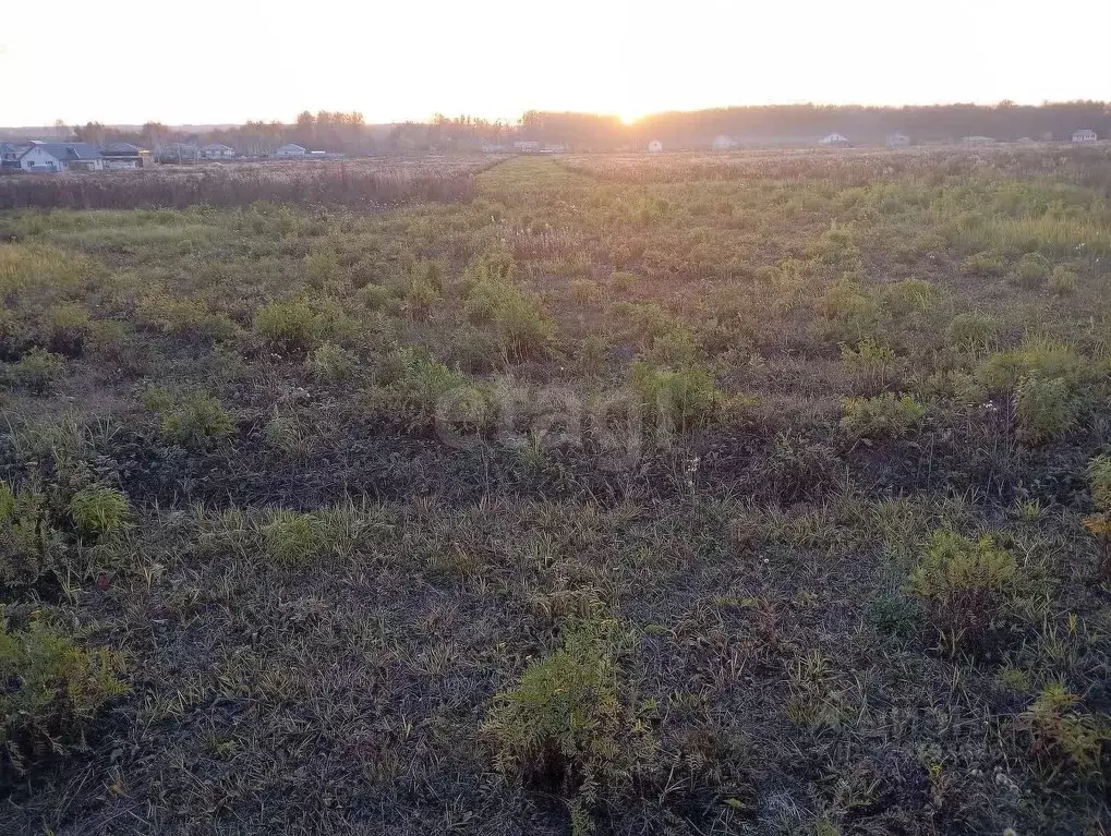 Участок в Калужская область, Калуга ул. Николая Кохова, 23 (7.0 сот.) - Фото 2