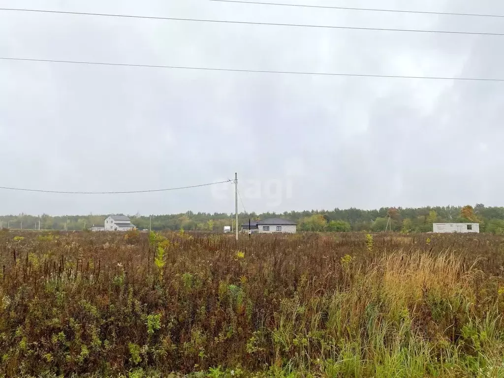 Участок в Липецкая область, Липецкий муниципальный округ, с. Сенцово ... - Фото 2