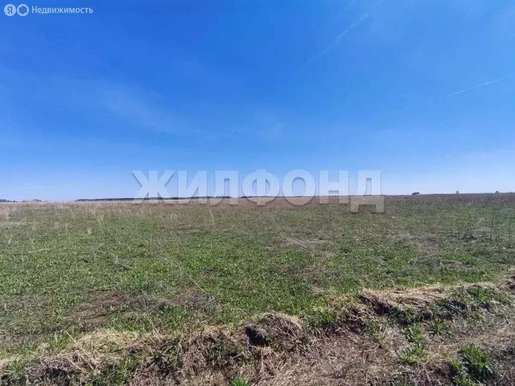 Участок в Колыванский район, СНТ Большая Семья (8.7 м) - Фото 2