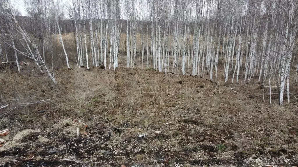 Участок в Тюмень, СНТ Бирюсинка, Зелёная улица (6.05 м) - Фото 2