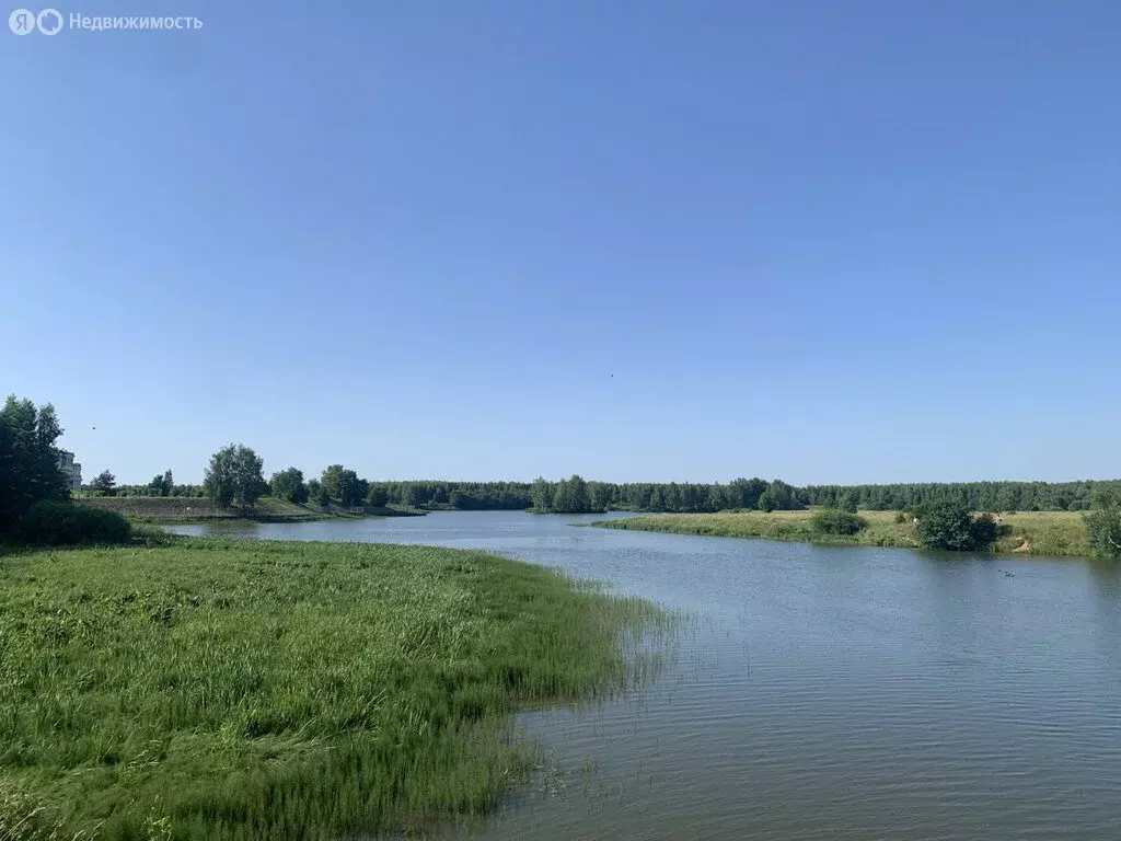 Участок в село Чёрная Заводь, улица Сарафоново, 5 (22 м) - Фото 2