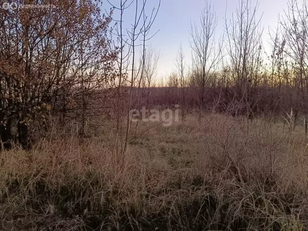 Участок в Ростовская область, слобода Родионово-Несветайская (18 м) - Фото 0