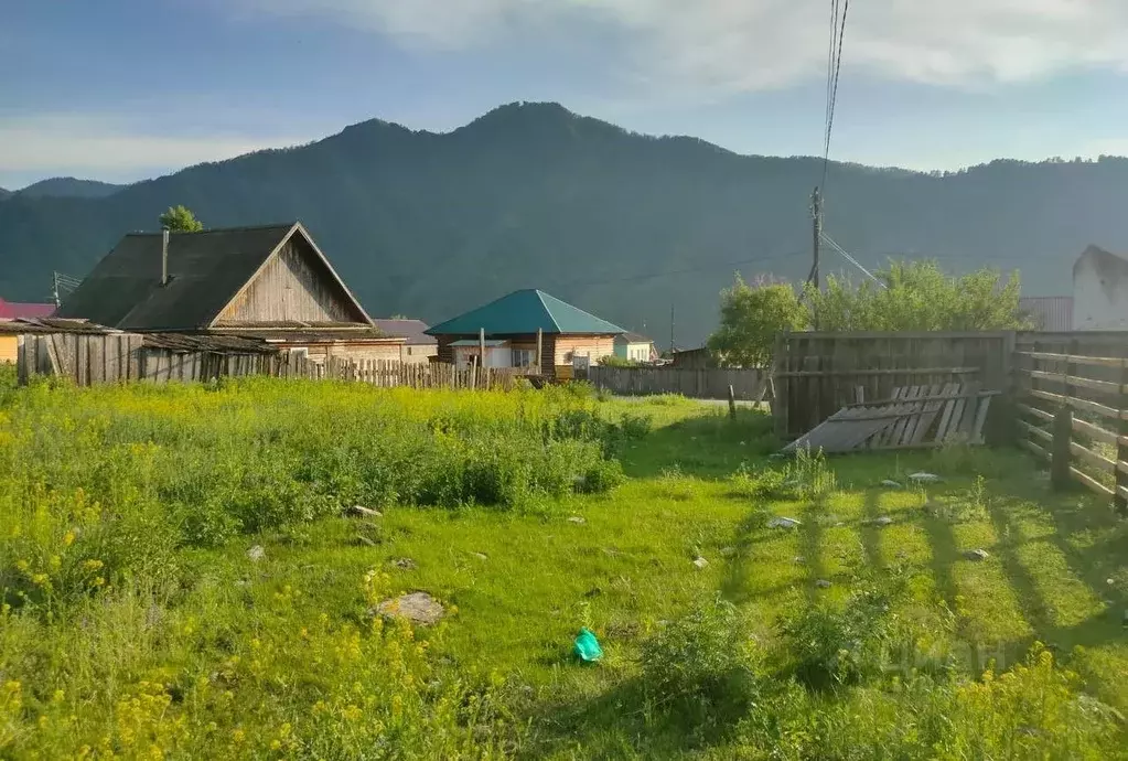 Участок в Алтай, Чемальский район, с. Куюс Центральная ул., 36 (13.0 ... - Фото 1