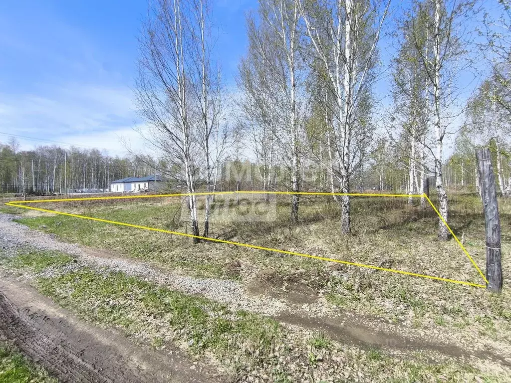 Участок в Челябинская область, Сосновский муниципальный округ, Городок ... - Фото 2