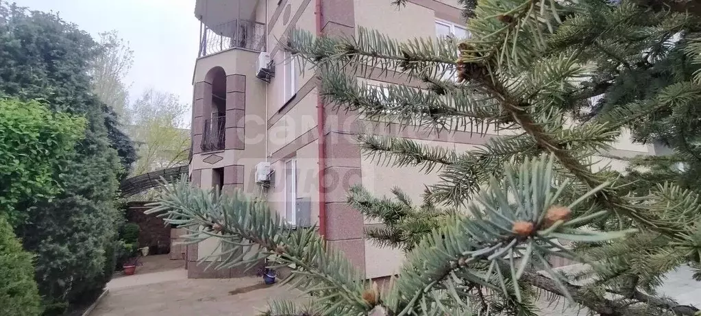 Студия Крым, Симферопольский район, Николаевка пгт ул. Чудесная, 2/8 ... - Фото 1