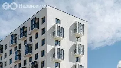 Квартира-студия: посёлок городского типа Мисайлово, микрорайон ... - Фото 2