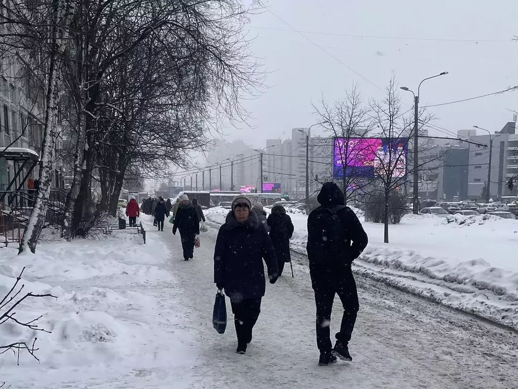Помещение свободного назначения в Санкт-Петербург просп. Просвещения, ... - Фото 1