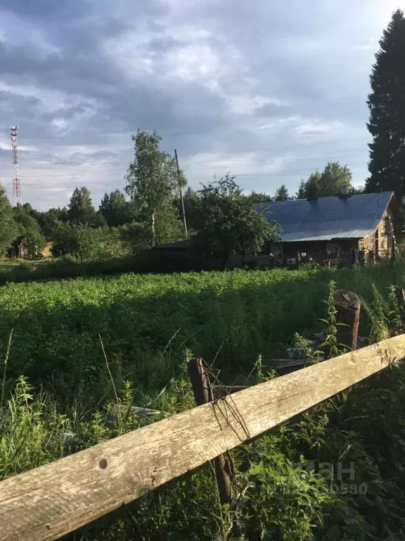 Участок в Ленинградская область, Приозерский район, Ромашкинское ... - Фото 1