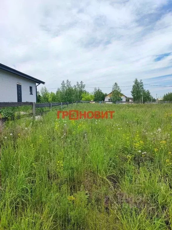 Участок в Новосибирская область, Новосибирский район, с. Верх-Тула ул. ... - Фото 2