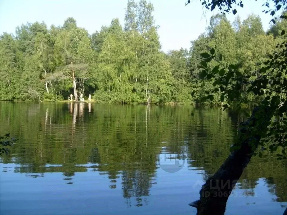 Участок в Ленинградская область, Всеволожский район, Куйвозовское ... - Фото 1