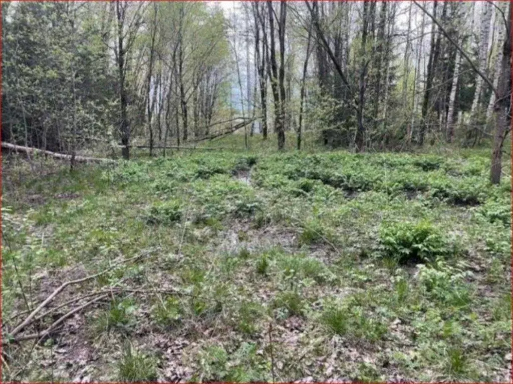 Участок в Московская область, Клин городской округ, д. Тиликтино  ... - Фото 1