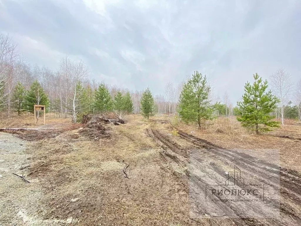 Дом в Челябинская область, Сосновский муниципальный округ, Ясное Небо ... - Фото 2