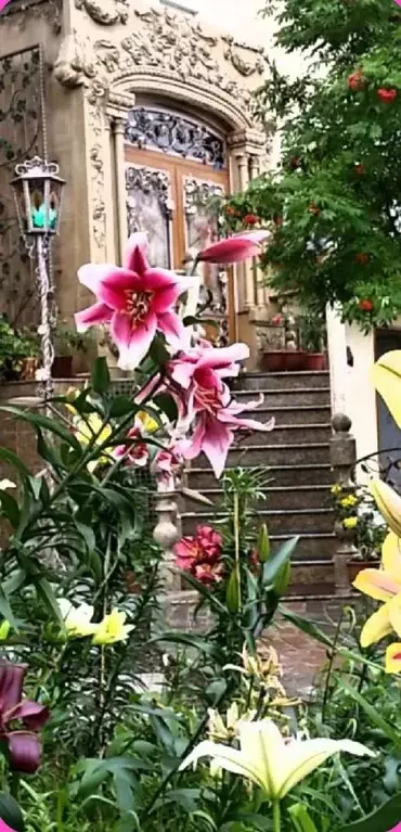 Офис в Ханты-Мансийский АО, Когалым ул. Мира, 38 (78 м) - Фото 1