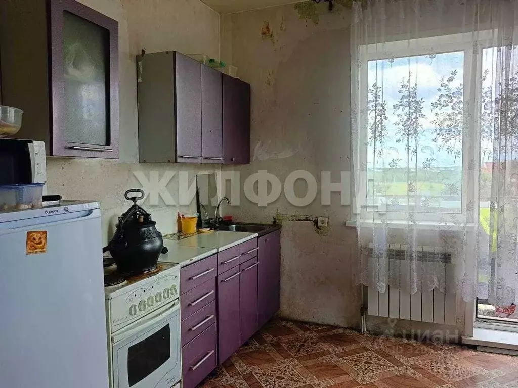 1-к кв. Новосибирская область, Обь ул. Большая, 37 (26.0 м) - Фото 0