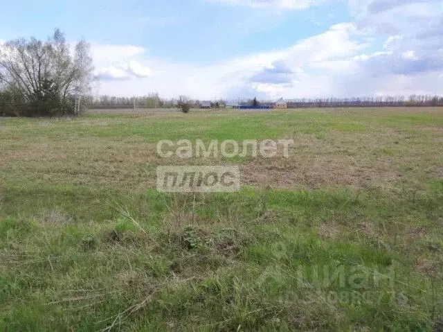 Участок в Липецкая область, Грязинский муниципальный округ, с. ... - Фото 1