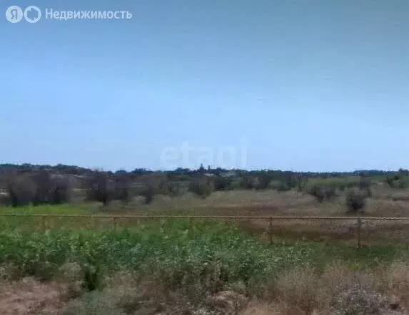 Участок в Елизаветинское сельское поселение, хутор Курган, Донская ... - Фото 0