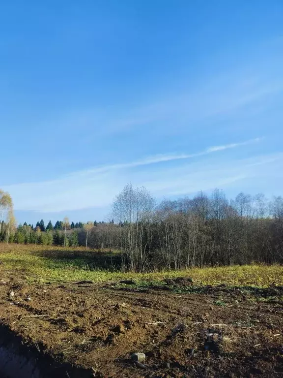 Участок в Московская область, Клин городской округ, Малахитовые дачи ... - Фото 0