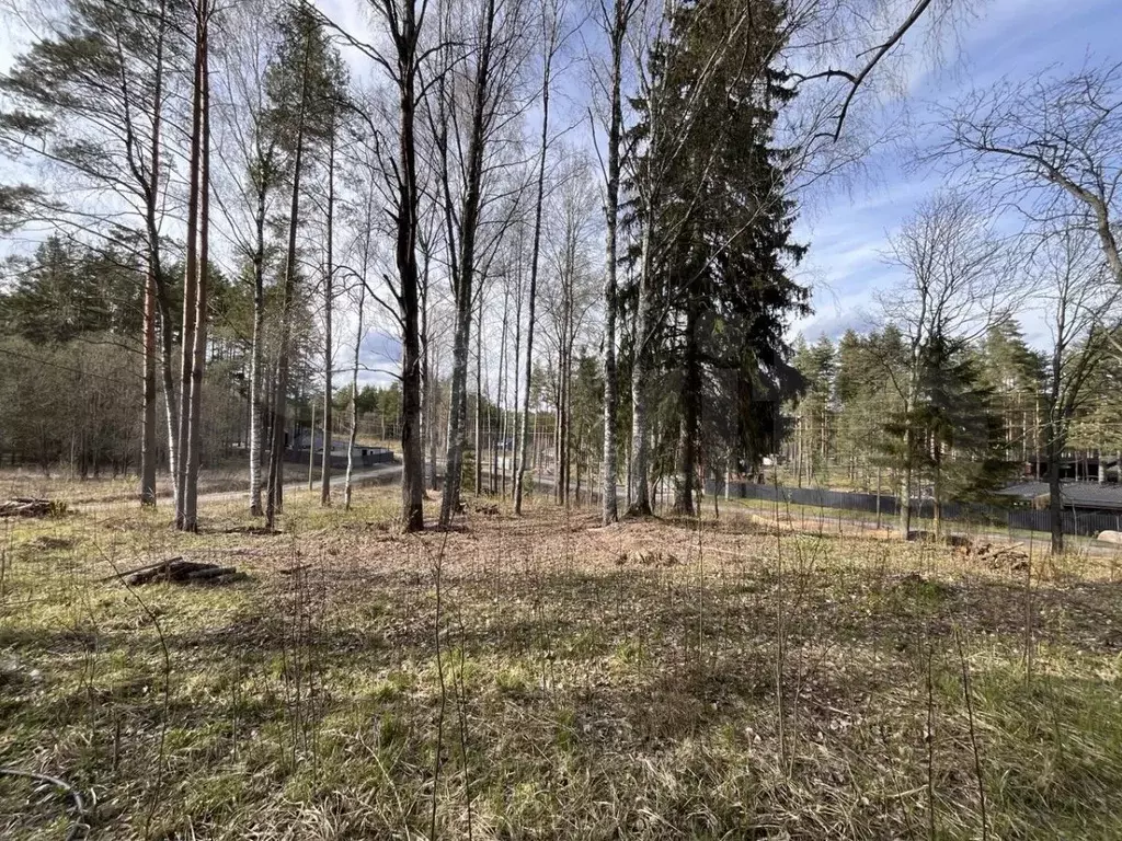 Участок 9 сот. (СНТ, ДНП) - Фото 0