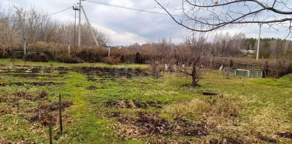 Дом в Алтайский край, Бийск городской округ, с. Фоминское ул. ... - Фото 1
