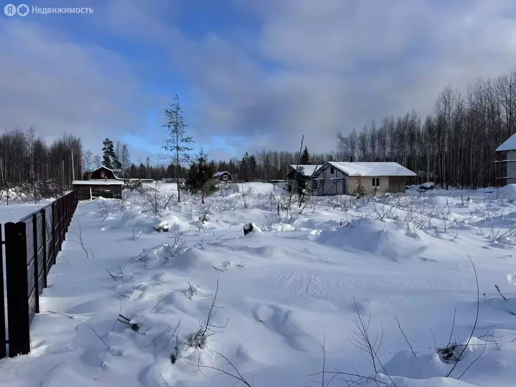 Участок в Кировский район, Синявинское городское поселение, ... - Фото 2