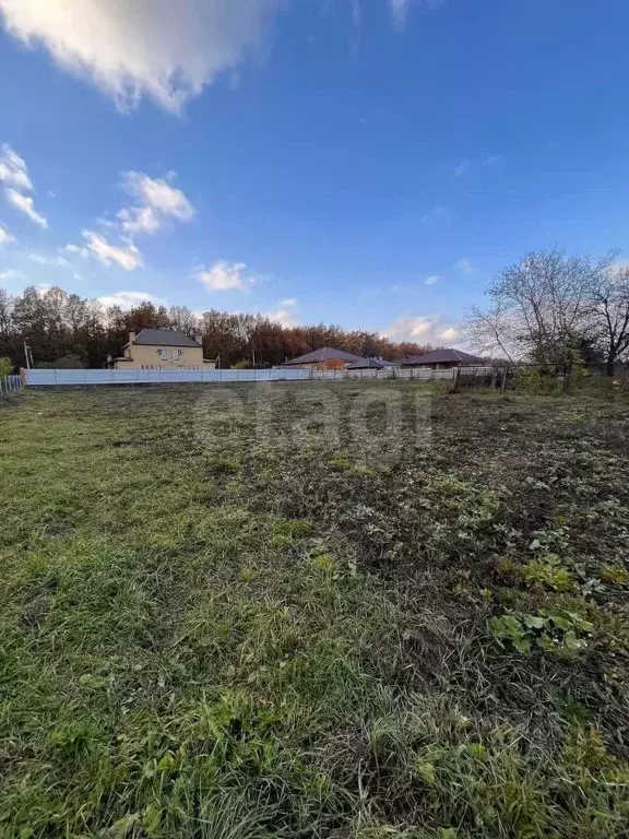 Участок в Липецкая область, Липецкий муниципальный округ, д. Ясная ... - Фото 1