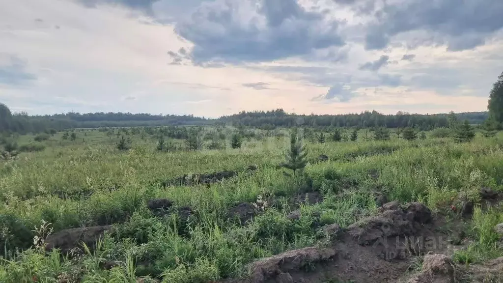 Участок в Свердловская область, Горноуральский муниципальный округ, с. ... - Фото 2