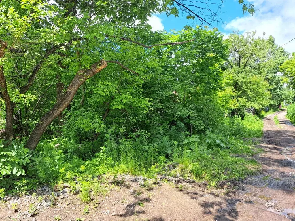 Участок в Хабаровский край, Хабаровск Угловая ул. (6.5 сот.) - Фото 2