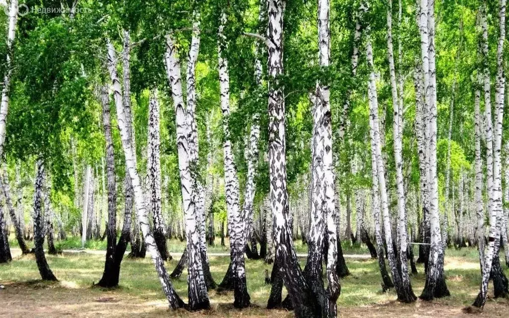 Участок в село Чернолучье, Береговая улица (10 м) - Фото 0