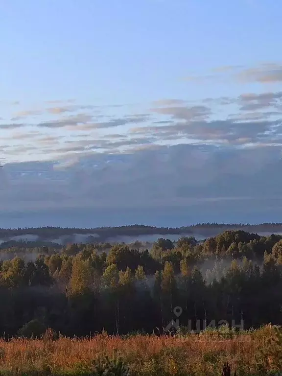 Участок в Ленинградская область, Выборгский район, Рощинское городское ... - Фото 2